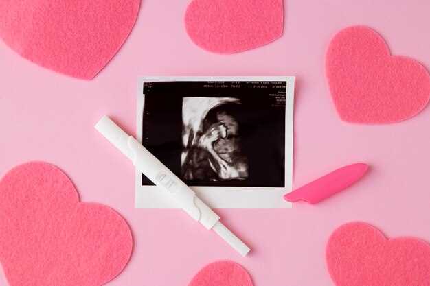 Развитие эмбриона и формирование сердца
