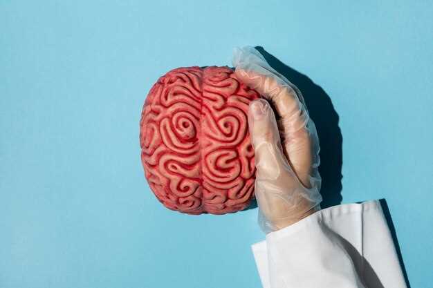 Сотрясение головного мозга: симптомы, причины, терапия и препараты